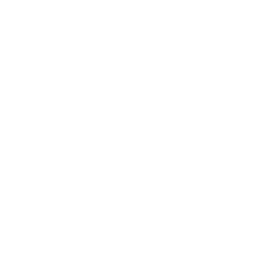 mit Schweinefleisch